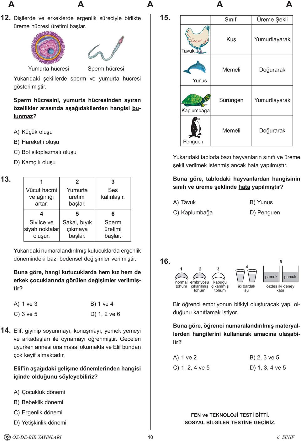 Yunus Sperm hücresini, yumurta hücresinden ayýran özellikler arasýnda aþaðýdakilerden hangisi bulunmaz?