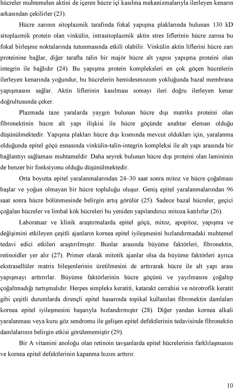 tutunmasında etkili olabilir. Vinkülin aktin liflerini hücre zarı proteinine bağlar, diğer tarafta talin bir majör hücre alt yapısı yapışma proteini olan integrin ile bağlıdır (24).