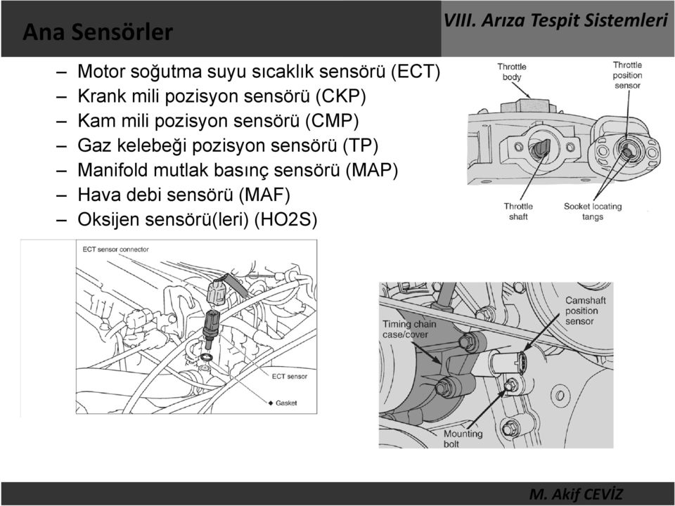 Gaz kelebeği pozisyon sensörü (TP) Manifold mutlak basınç