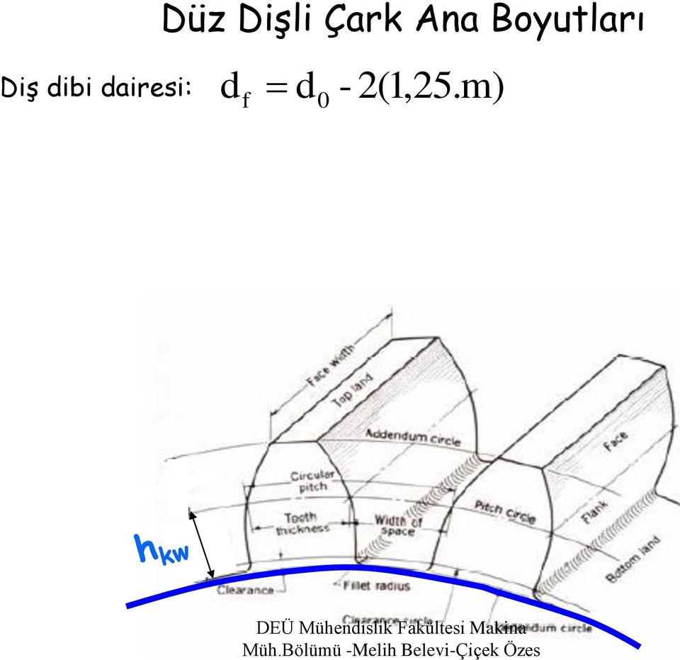 Diş dibi