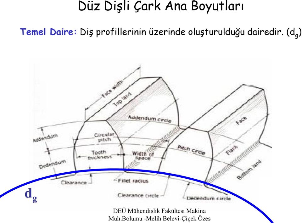 Diş profillerinin