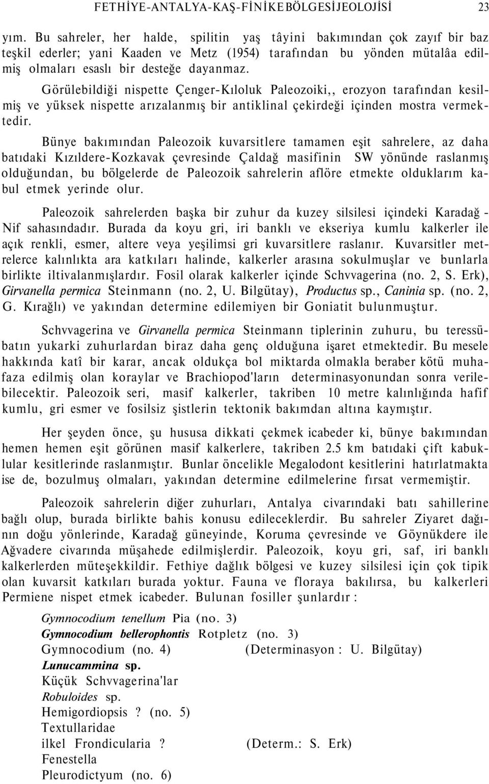 Görülebildiği nispette Çenger-Kıloluk Paleozoiki,, erozyon tarafından kesilmiş ve yüksek nispette arızalanmış bir antiklinal çekirdeği içinden mostra vermektedir.