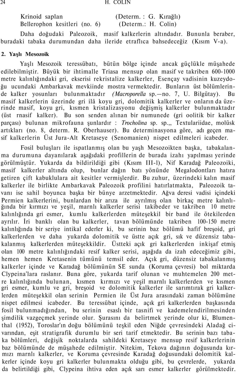 Büyük bir ihtimalle Triasa mensup olan masif ve takriben 600-1000 metre kalınlığındaki gri, ekserisi rekristalize kalkerler, Esençay vadisinin kuzeydoğu ucundaki Ambarkavak mevkiinde mostra