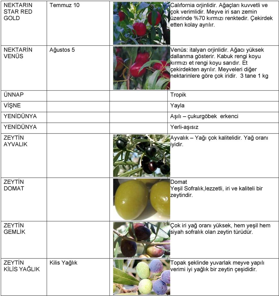 Meyveleri diğer nektarinlere göre çok iridir. 3 tane 1 kg ÜNNAP VİŞNE YENİDÜNYA YENİDÜNYA ZEYTİN AYVALIK Tropik Yayla Aşılı çukurgöbek erkenci Yerli-aşısız Ayvalık Yağı çok kalitelidir.