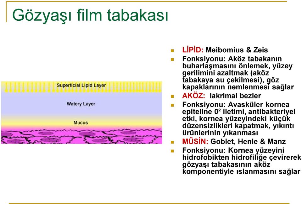 0² iletimi, antibakteriyel etki, kornea yüzeyindeki küçük düzensizlikleri kapatmak, yıkıntı ürünlerinin yıkanması MÜSİN: