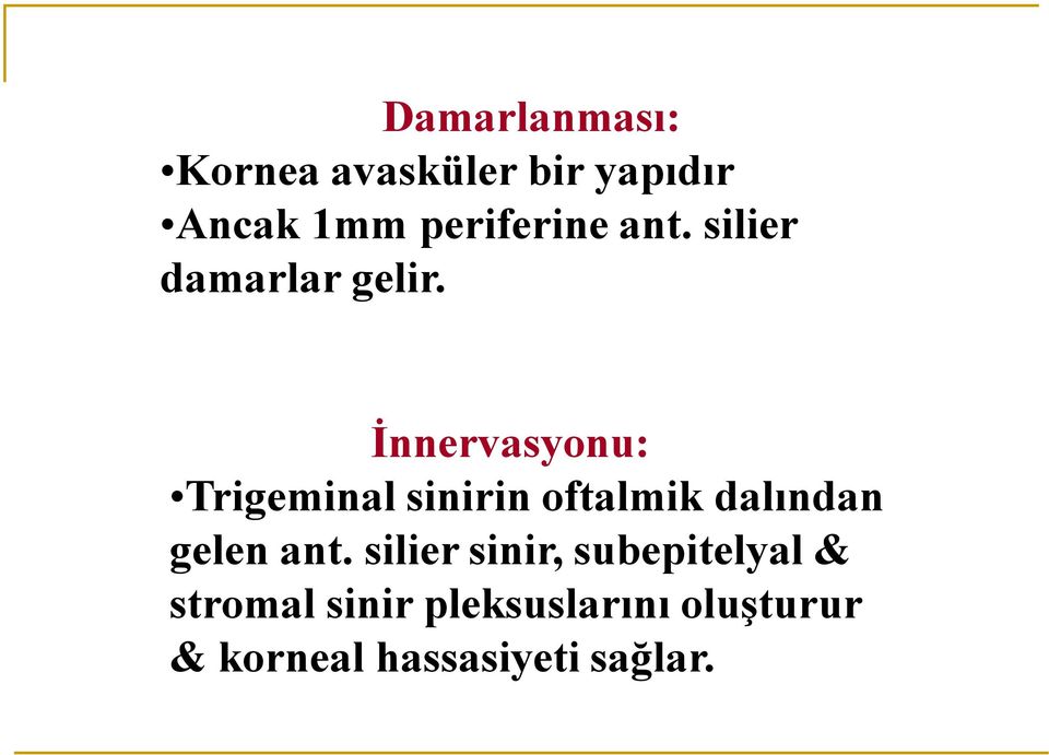 İnnervasyonu: Trigeminal sinirin oftalmik dalından gelen ant.