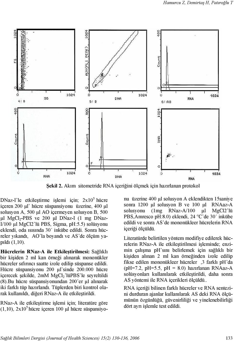 solusyon B, 500 μl MgCl 2 -PBS ve 200 μl DNaz-I (1 mg DNaz- I/100 µl MgCl2 lü PBS, Sigma, ph:5.5) solüsyonu eklendi, oda ısısında 30 inkübe edildi.