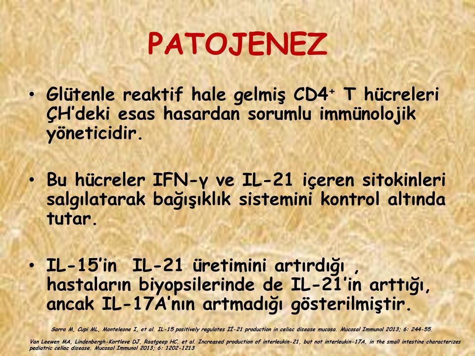 IL-15 in IL-21 üretimini artırdığı, hastaların biyopsilerinde de IL-21 in arttığı, ancak IL-17A nın artmadığı gösterilmiģtir. Sarra M, Cupi ML, Monteleone I, et al.