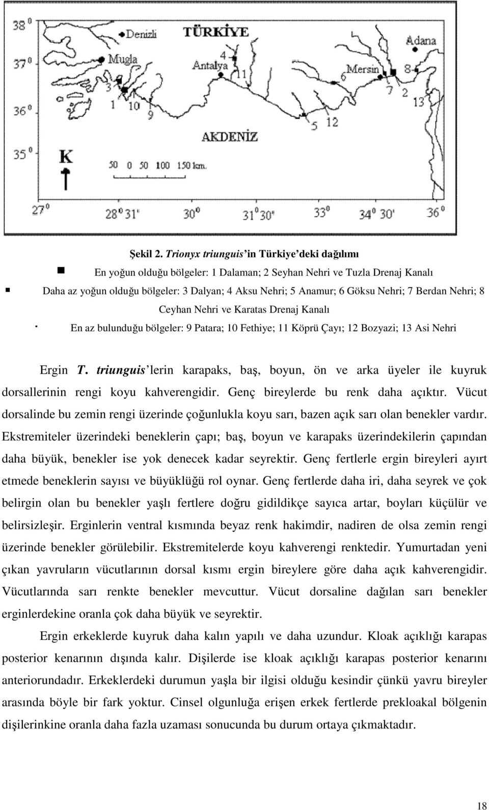 7 Berdan Nehri; 8 Ceyhan Nehri ve Karatas Drenaj Kanalı En az bulunduğu u bölgeler: 9 Patara; 10 Fethiye; 11 Köprü Çayı; 12 Bozyazi; 13 Asi Nehri Ergin T.