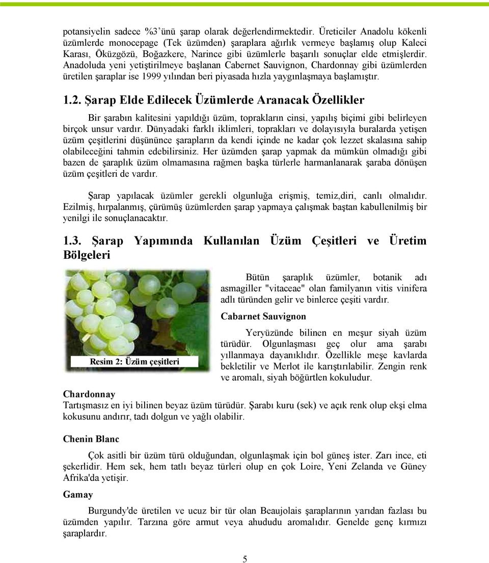 Anadoluda yeni yetiştirilmeye başlanan Cabernet Sauvignon, Chardonnay gibi üzümlerden üretilen şaraplar ise 1999 yılından beri piyasada hızla yaygınlaşmaya başlamıştır. 1.2.
