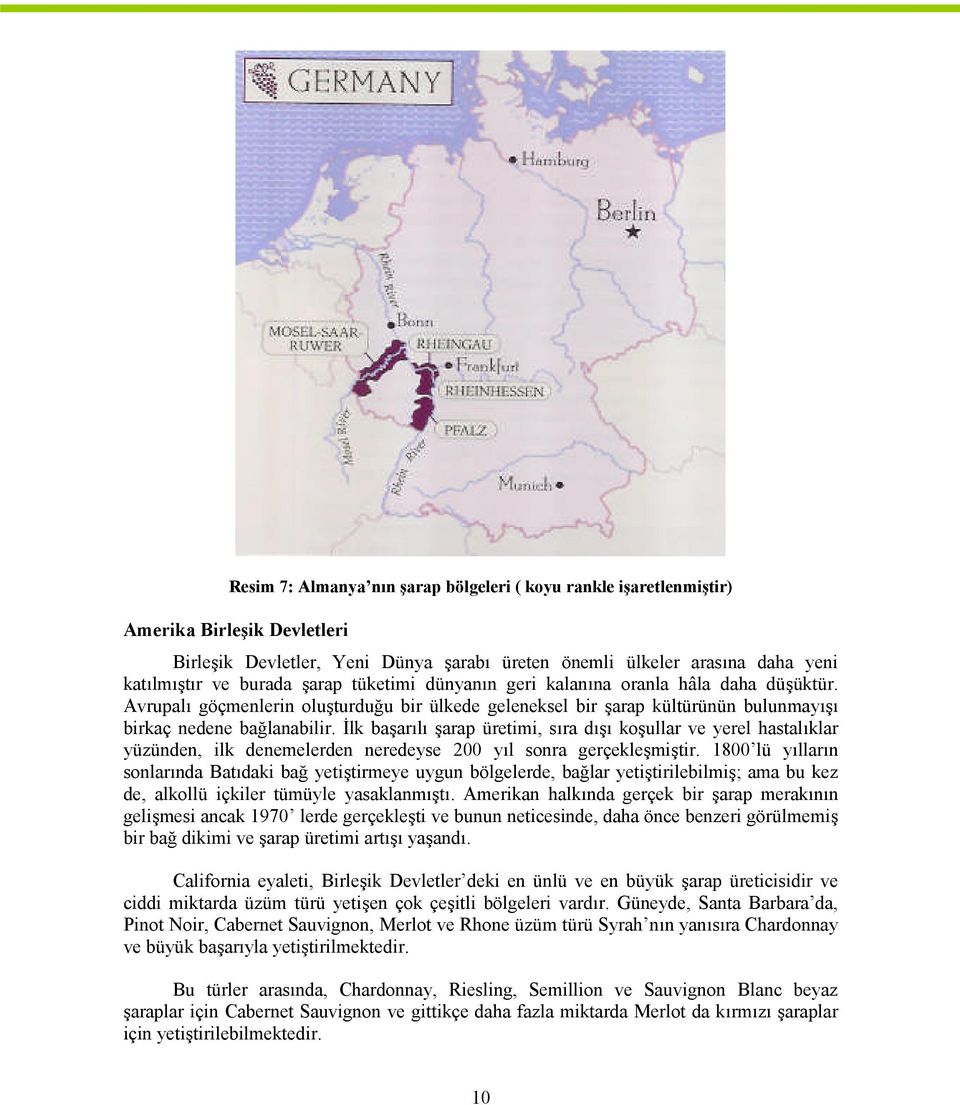 İlk başarılı şarap üretimi, sıra dışı koşullar ve yerel hastalıklar yüzünden, ilk denemelerden neredeyse 200 yıl sonra gerçekleşmiştir.