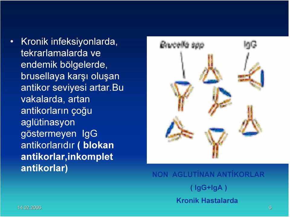 bu vakalarda, artan antikorların çoğu aglütinasyon göstermeyen IgG