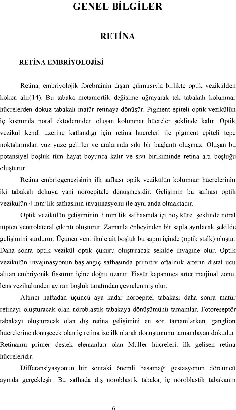 Pigment epiteli optik vezikülün iç kısmında nöral ektodermden oluşan kolumnar hücreler şeklinde kalır.