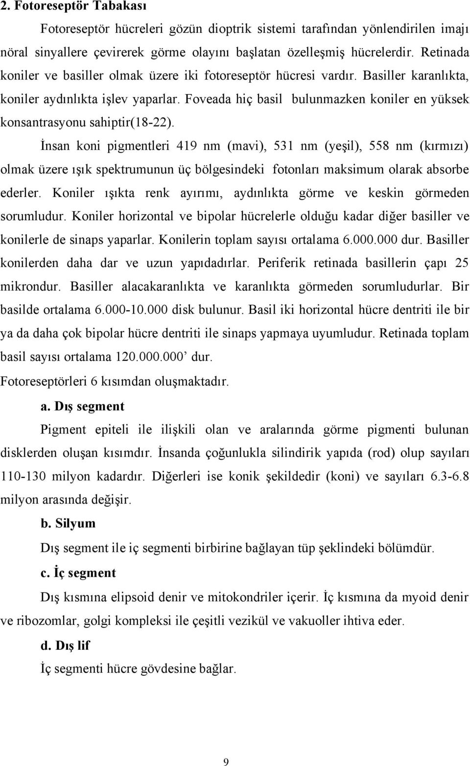 Foveada hiç basil bulunmazken koniler en yüksek konsantrasyonu sahiptir(18-22).