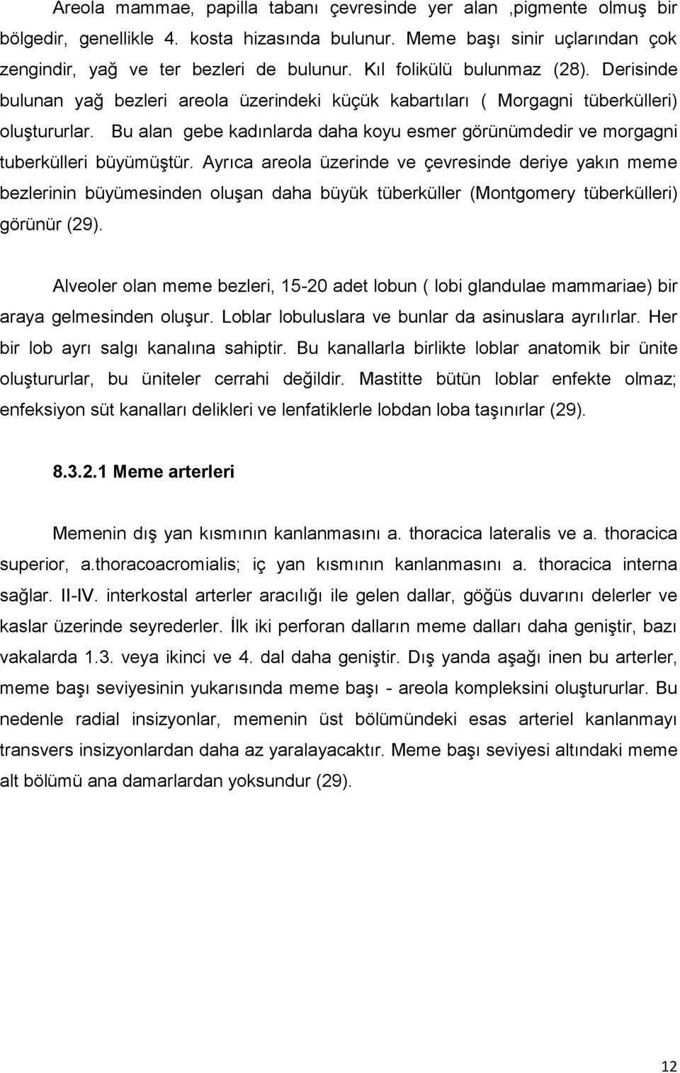 Bu alan gebe kadınlarda daha koyu esmer görünümdedir ve morgagni tuberkülleri büyümüştür.