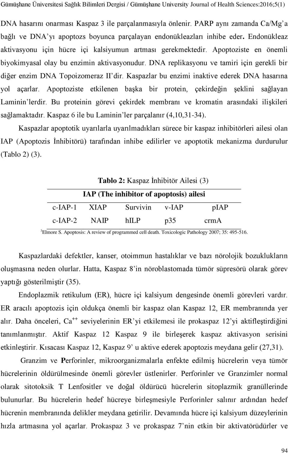 DNA replikasyonu ve tamiri için gerekli bir diğer enzim DNA Topoizomeraz II dir. Kaspazlar bu enzimi inaktive ederek DNA hasarına yol açarlar.