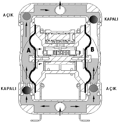 2.1. Diyafram çalışma sıcaklığı değerleri Diyafram Malzemesi Çalışma sıcaklığı değerleri BUNA-N -12,2 ⁰C 65,6 ⁰C PTFE (teflon) 4 ⁰C 104,4 ⁰C Santoprene -28,9 ⁰C 104,4 ⁰C Polyurethane -12,2 ⁰C 65,6 ⁰C