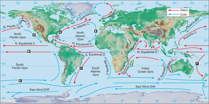 7. Okyanus Akıntıları Enlemin etkisine bağlı olarak, ekvatoral bölgeden gelen akıntılar sıcak su, kutup bölgelerinden gelen akıntılar