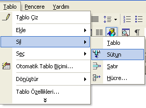 Hücre Özellikleri 6.1.3.