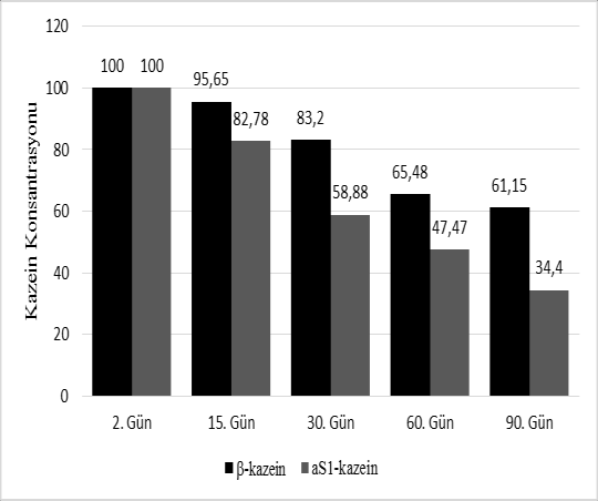 Gün 60.Gün 30.Gün 15.Gün 2.Gün -kazein -kazein S2 -kazein S1 -kazein S1 -I peptid Diğer Parçalanma Ürünleri -kazein -kazein S2 -kazein S1 -kazein S1 -I peptid Diğer Parçalanma Ürünleri Şekil 4.2.6. Çörekotu ilaveli peynirler için olgunlaşma süresince elde edilen elektroforetogramları (sol) ve β-kazein, α S1-kazein oranlarının dansitometrik sonuçları (sağ) Standart 90.