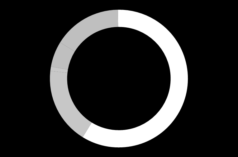 Tecrübeli ve Kalifiye İşgücü %17 Lise Teknik Lise ve Meslek Lisesi Yüksek Lisans %22 Lisans %71