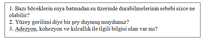 Şekil 3.6: Dersin girişinde öğretmen adaylarına sorulan sorulardan örnekler. 3.3.2 Odak Aşaması Derse giriş yapılıp, öğretmen adaylarının dikkati çekilip, işlenecek konu ile ilgili bilgi verilip, ön bilgiler ortaya çıkartıldıktan sonra işlenecek konuya geçilmektedir.