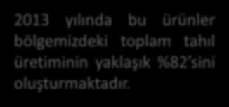 BÖLGEMİZDE ÖNE ÇIKAN ÜRÜNLER TAHIL VE DİĞER BİTKİSEL ÜRÜNLER Bölgemiz ülkemiz toplam tahıl üretiminin yaklaşık %11 ini üretmektedir.