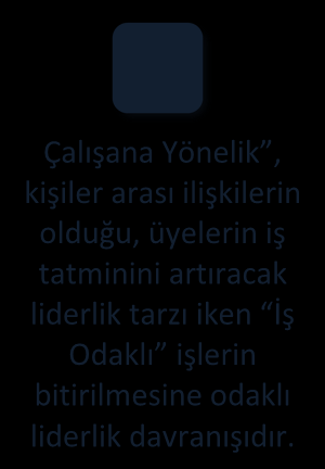 SAĞLIK HİZMETLERİNDE ERLİK Sağlık Hizmetlerinde Yöneticilik ve Liderlik dilediği şekilde çalışabileceğini bildiren liderdir.