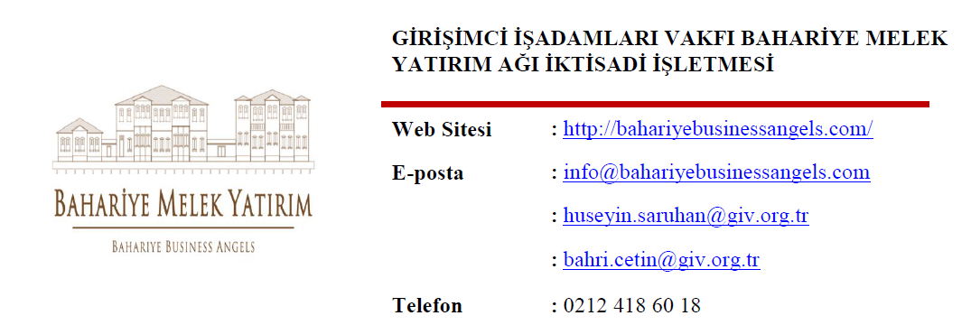 BKY AĞLARI TARAFINDAN MELEK YATIRIMCILARA SUNULMAK ÜZERE DEĞERLENDİRMEYE ALINAN GİRİŞİMLER (ORTALAMA) 100 81