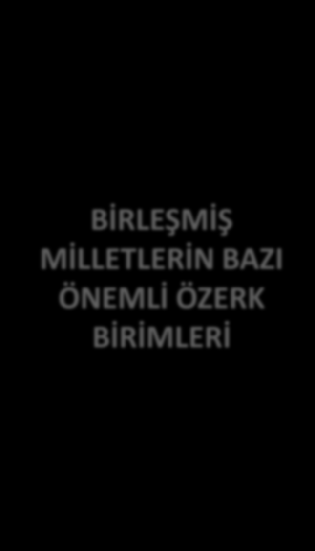 BİRLEŞMİŞ MİLLETLERİN