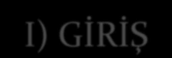 I) GİRİŞ Yeryüzünde ortalama 4000 dil konuşulmaktadır. Bu dillerden sadece 118'i "Devlet Dili" olabilmiştir. "Devlet Dilleri"nden biri de Türkçedir.