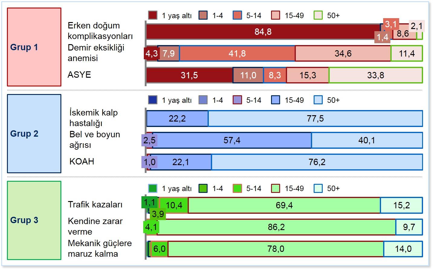 Grup 1 de erken doğum komplikasyonları, Grup 2 de iskemik kalp hastalığı ve Grup 3 te trafik kazaları öne çıkmaktadır Yaşa göre temel hastalık gruplarındaki ilk 3 DALY nedeni, 2013 Nedene bağlı DALY