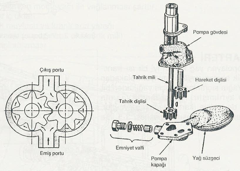 Dış rotorda ise, iç rotordaki çıkıntılara uyacak şekilde girintiler bulunur.