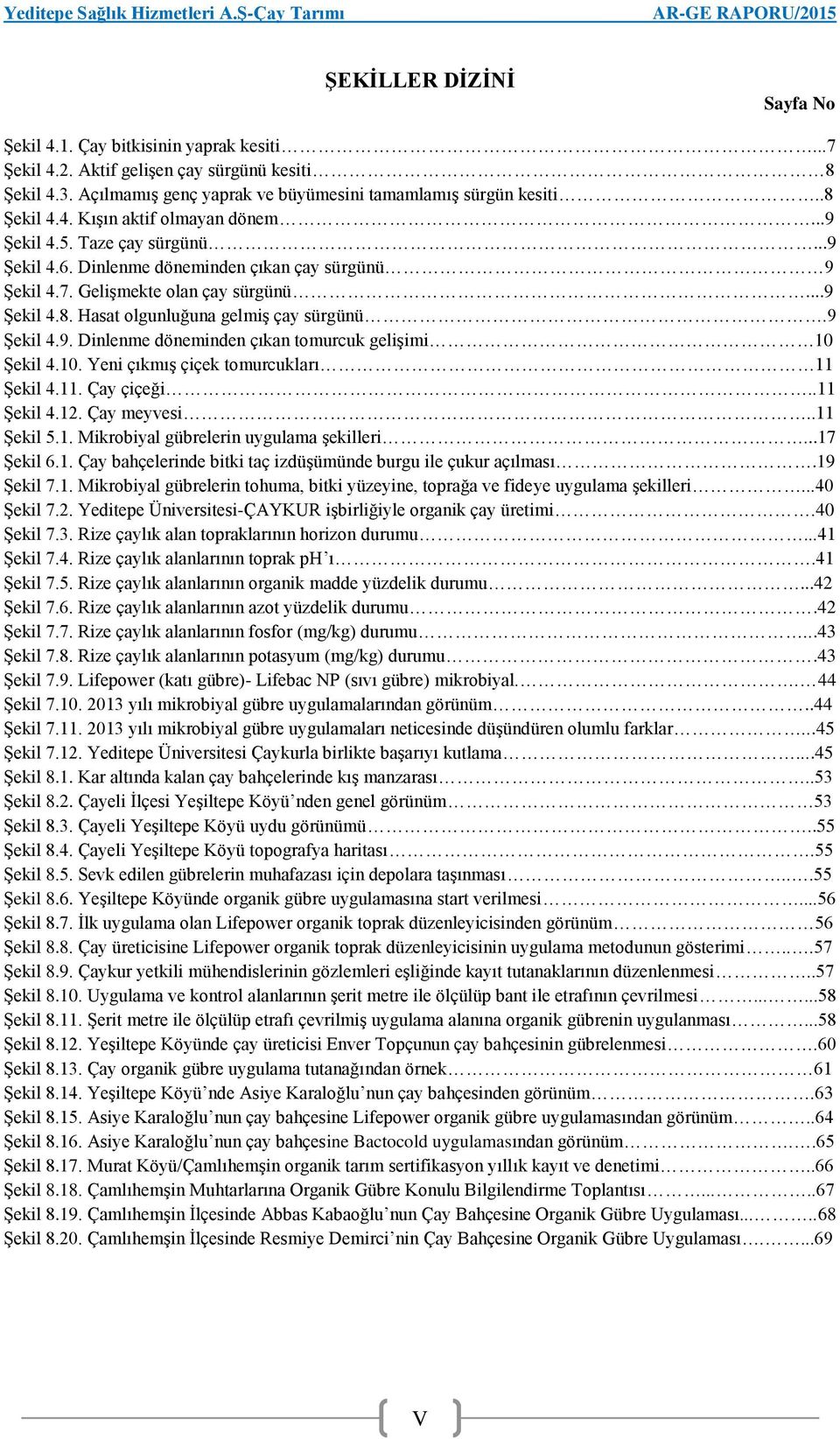 10. Yeni çıkmış çiçek tomurcukları 11 Şekil 4.11. Çay çiçeği..11 Şekil 4.12. Çay meyvesi..11 Şekil 5.1. Mikrobiyal gübrelerin uygulama şekilleri...17 Şekil 6.1. Çay bahçelerinde bitki taç izdüşümünde burgu ile çukur açılması.