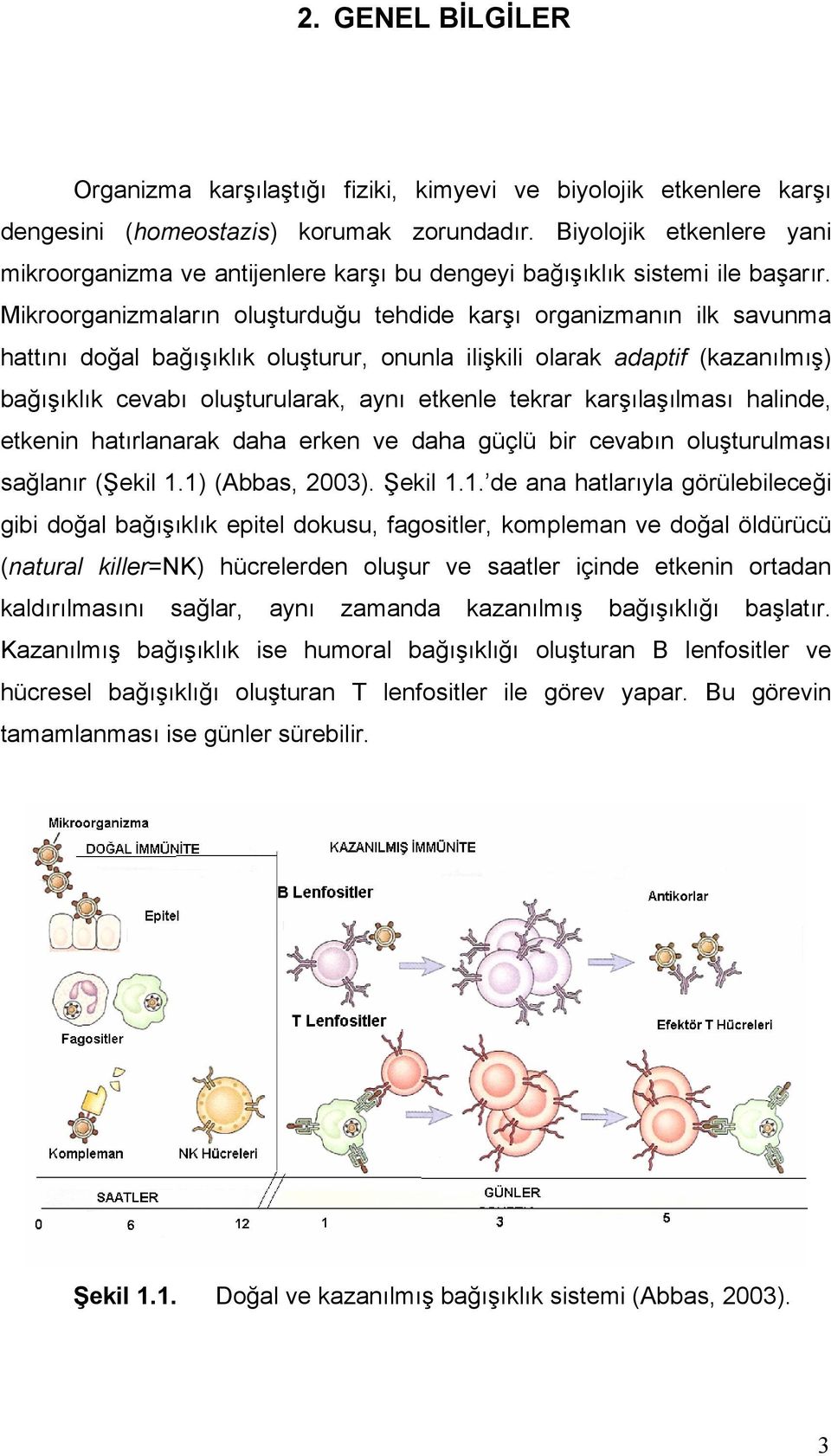 Mikroorganizmaların oluşturduğu tehdide karşı organizmanın ilk savunma hattını doğal bağışıklık oluşturur, onunla ilişkili olarak adaptif (kazanılmış) bağışıklık cevabı oluşturularak, aynı etkenle