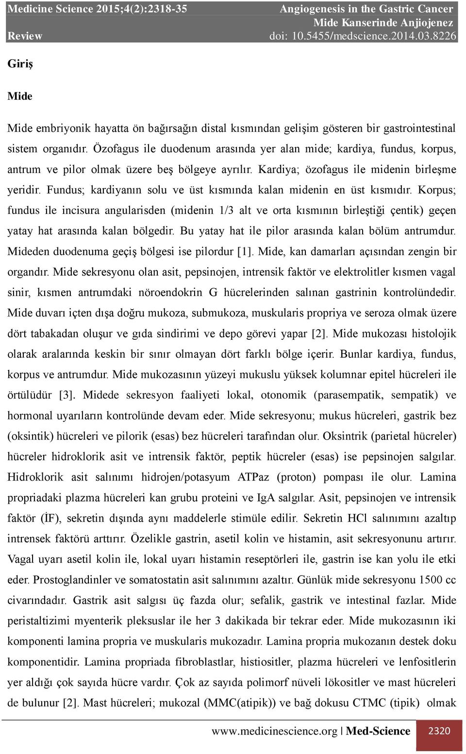 Fundus; kardiyanın solu ve üst kısmında kalan midenin en üst kısmıdır.