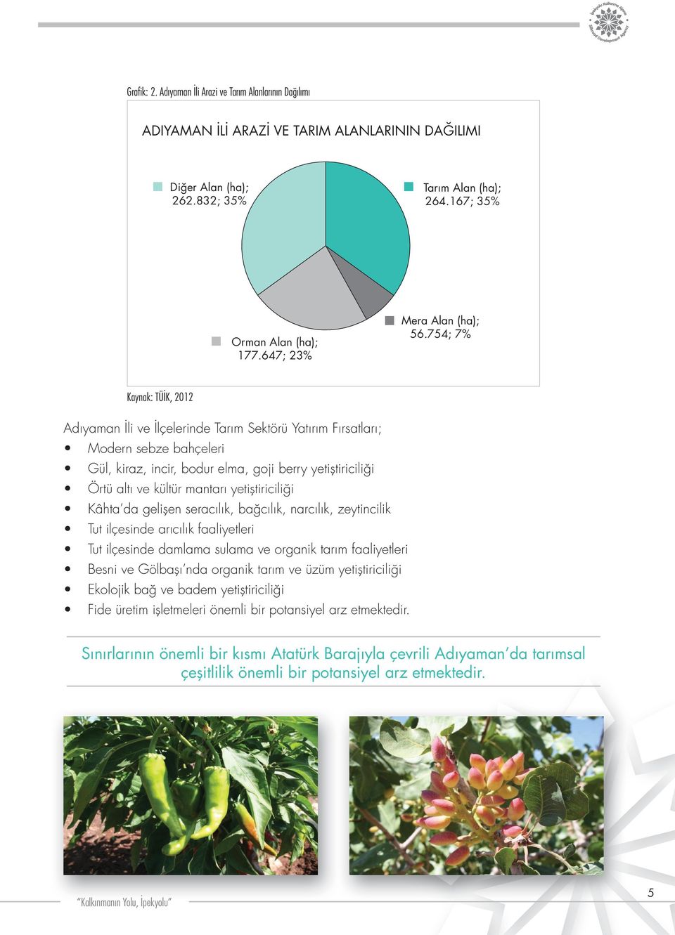 754; 7% Kaynak: TÜİK, 2012 Adıyaman İli ve İlçelerinde Tarım Sektörü Yatırım Fırsatları; Modern sebze bahçeleri Gül, kiraz, incir, bodur elma, goji berry yetiştiriciliği Örtü altı ve kültür mantarı