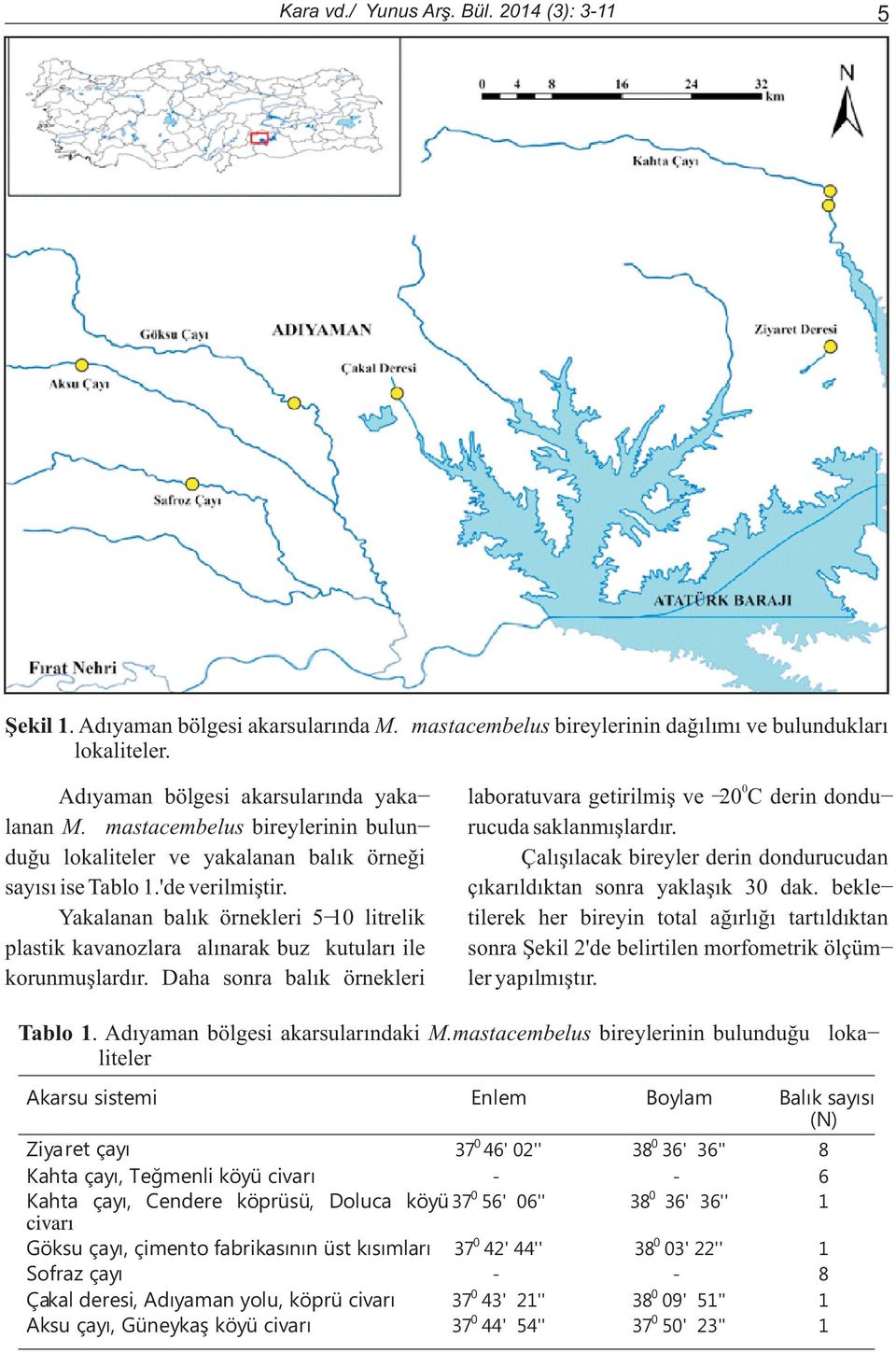 'de verilmiþtir. Yakalanan balýk örnekleri 5-10 litrelik plastik kavanozlara alýnarak buz kutularý ile korunmuþlardýr. Daha sonra balýk örnekleri rucuda saklanmýþlardýr.