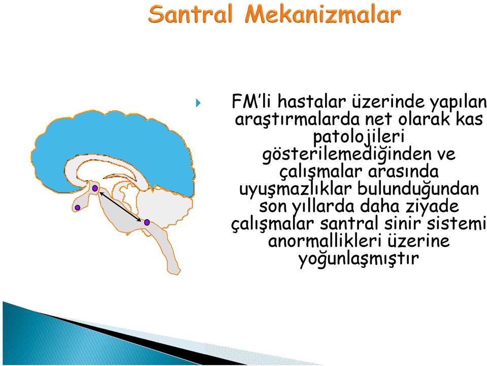 uyuşmazlıklar bulunduğundan son yıllarda daha ziyade