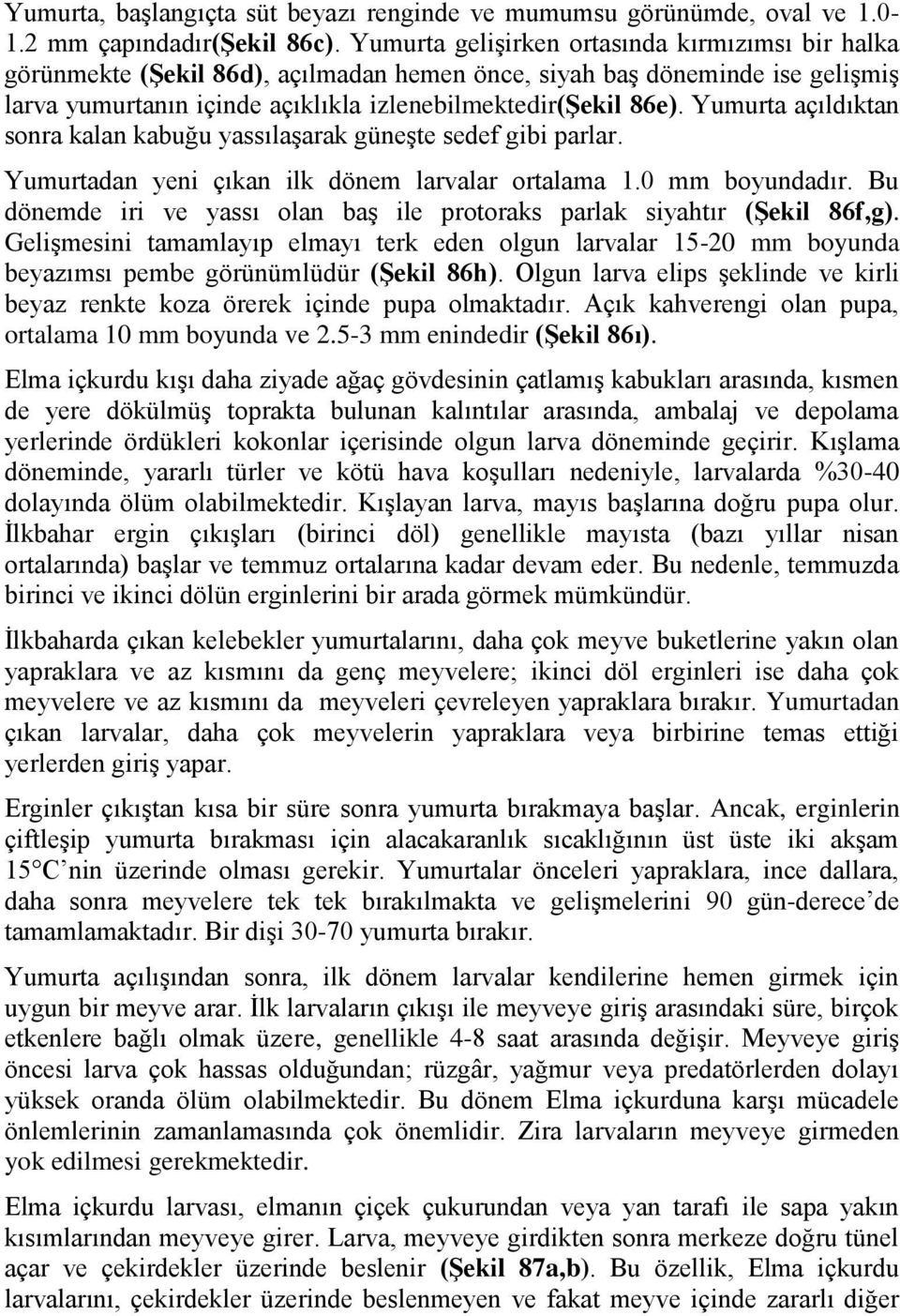 Yumurta açıldıktan sonra kalan kabuğu yassılaşarak güneşte sedef gibi parlar. Yumurtadan yeni çıkan ilk dönem larvalar ortalama 1.0 mm boyundadır.