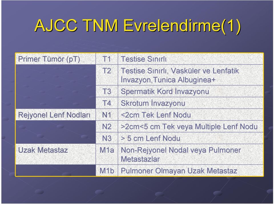 Spermatik Kord İnvazyonu Skrotum İnvazyonu <2cm Tek Lenf Nodu >2cm<5 cm Tek veya Multiple Lenf