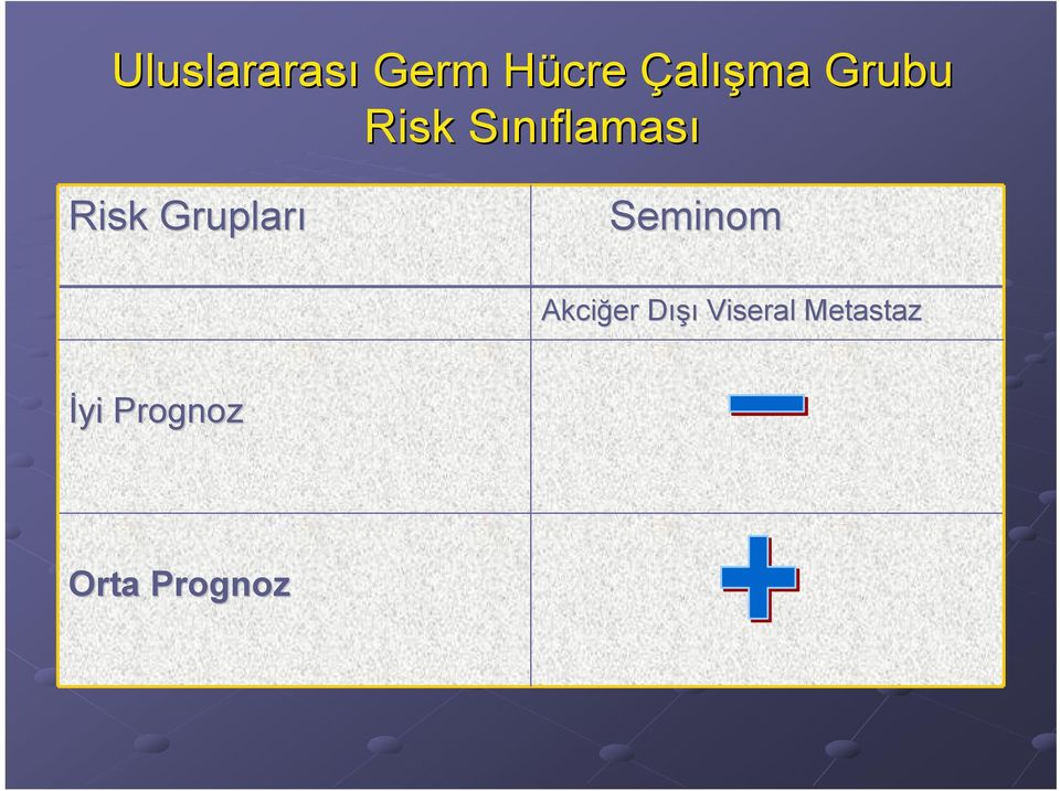 Grupları Seminom Akciğer Dışı