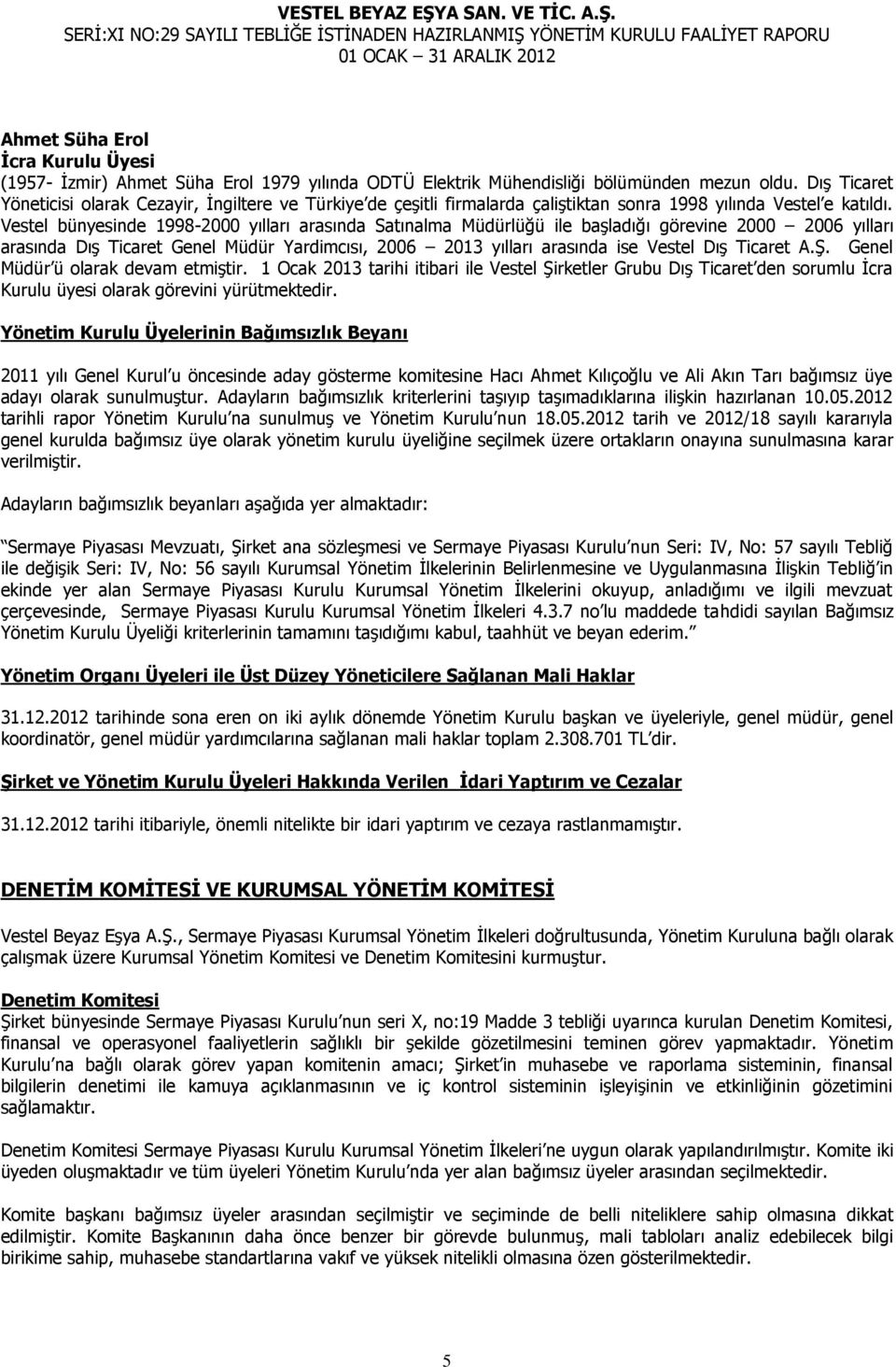 Vestel bünyesinde 1998-2000 yılları arasında Satınalma Müdürlüğü ile başladığı görevine 2000 2006 yılları arasında Dış Ticaret Genel Müdür Yardimcısı, 2006 2013 yılları arasında ise Vestel Dış