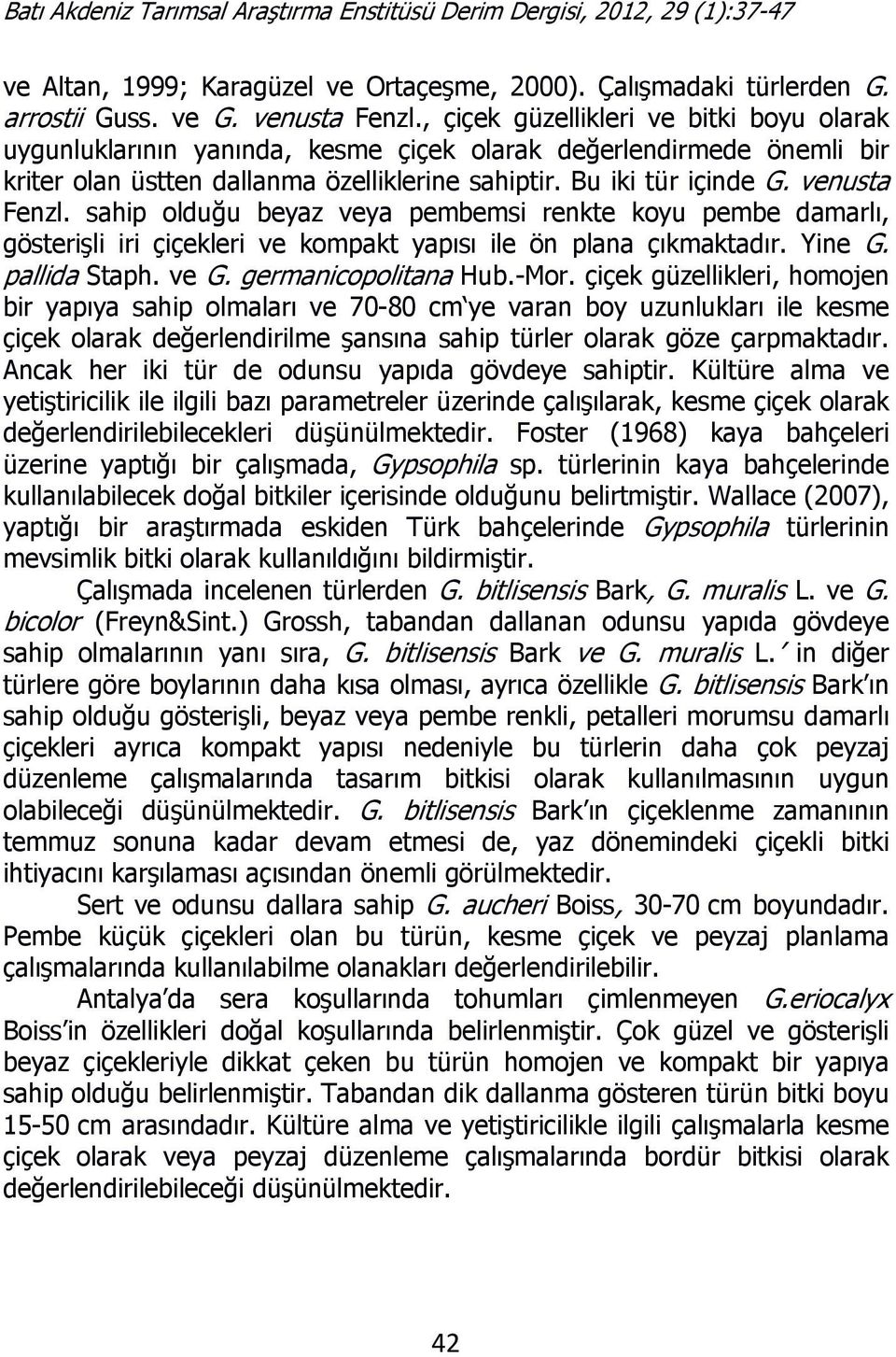 sahip olduğu beyaz veya pembemsi renkte koyu pembe damarlı, gösterişli iri çiçekleri ve kompakt yapısı ile ön plana çıkmaktadır. Yine G. pallida Staph. ve G. germanicopolitana Hub.-Mor.