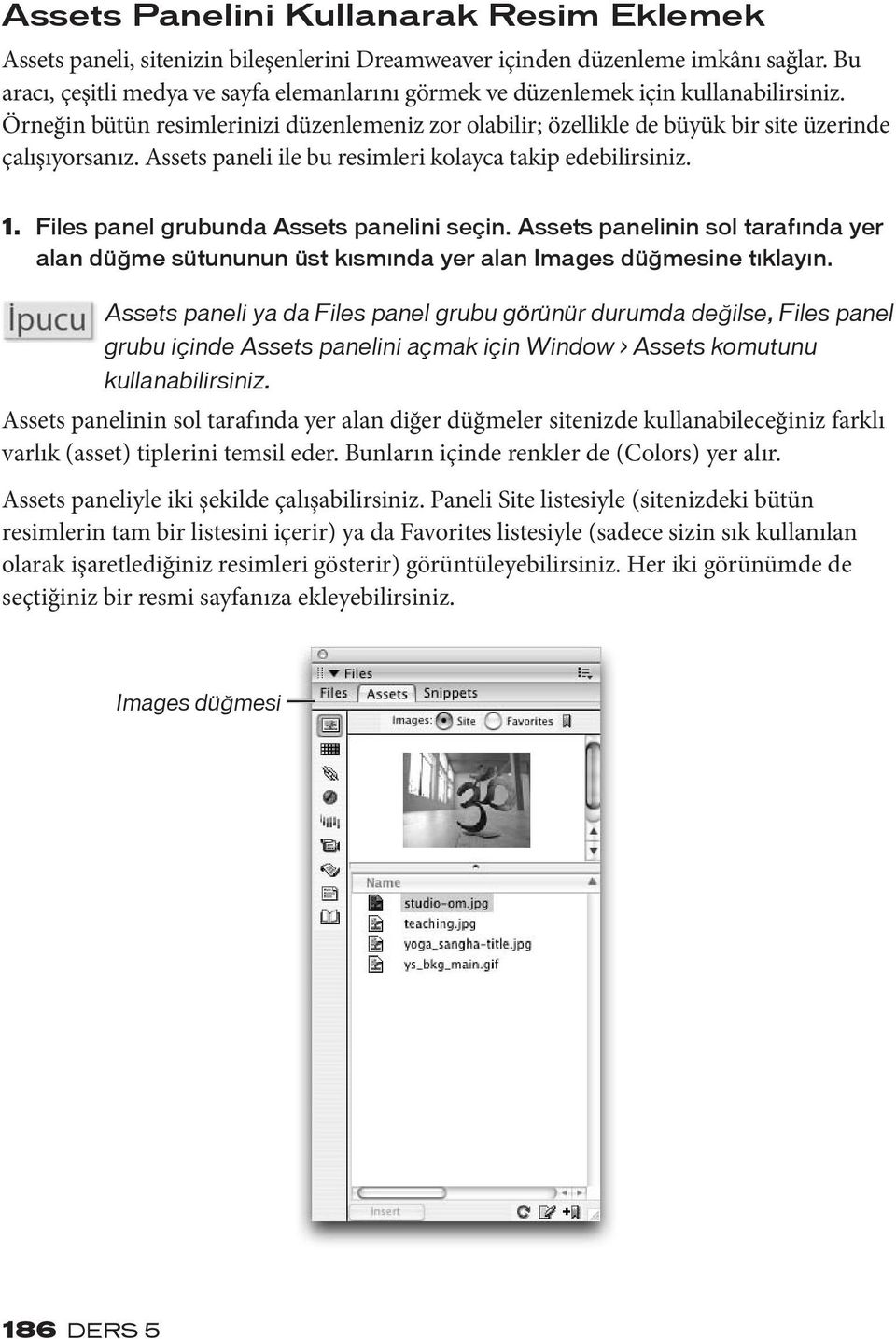 Assets paneli ile bu resimleri kolayca takip edebilirsiniz. 1. Files panel grubunda Assets panelini seçin.