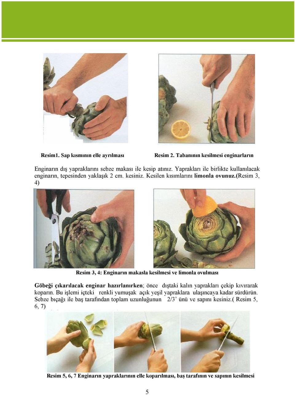 (resim 3, 4) Resim 3, 4: Enginarın makasla kesilmesi ve limonla ovulması Göbeği çıkarılacak enginar hazırlanırken; önce dıştaki kalın yaprakları çekip kıvırarak koparın.