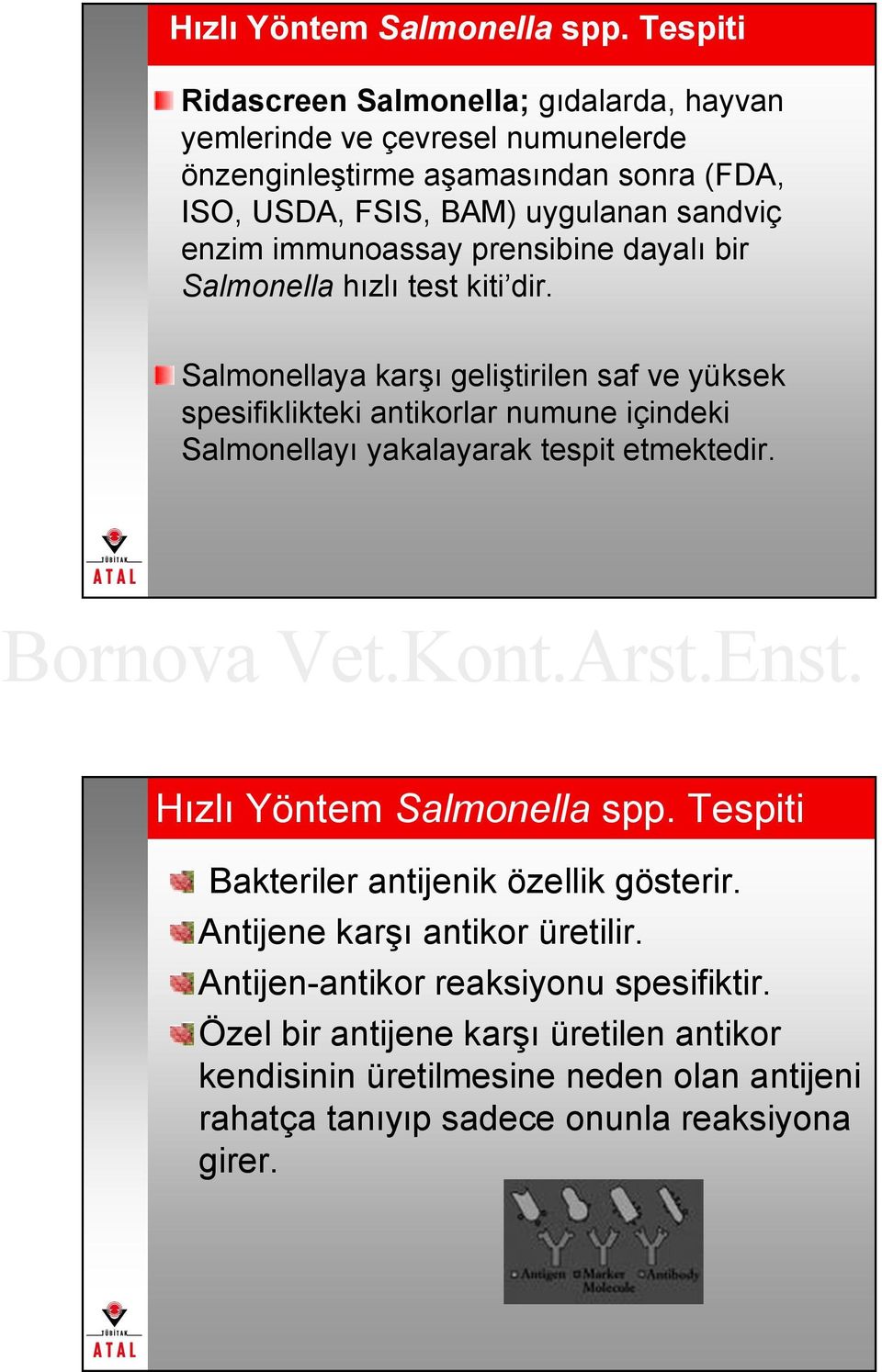 enzim immunoassay prensibine dayalı bir Salmonella hızlı test kiti dir.