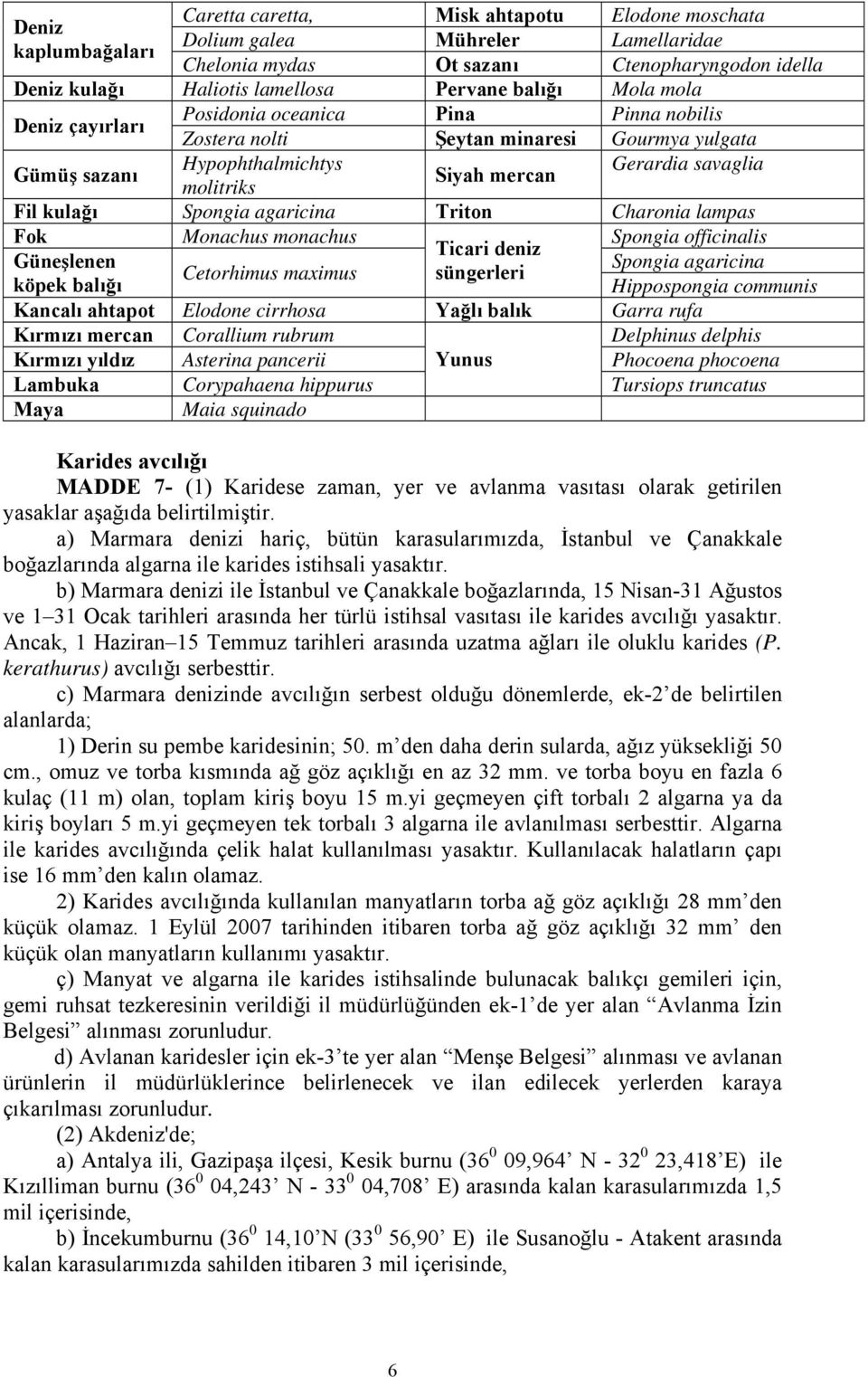 Spongia agaricina Triton Charonia lampas Fok Monachus monachus Spongia officinalis Ticari deniz Güneşlenen Spongia agaricina Cetorhimus maximus süngerleri köpek balığı Hippospongia communis Kancalı