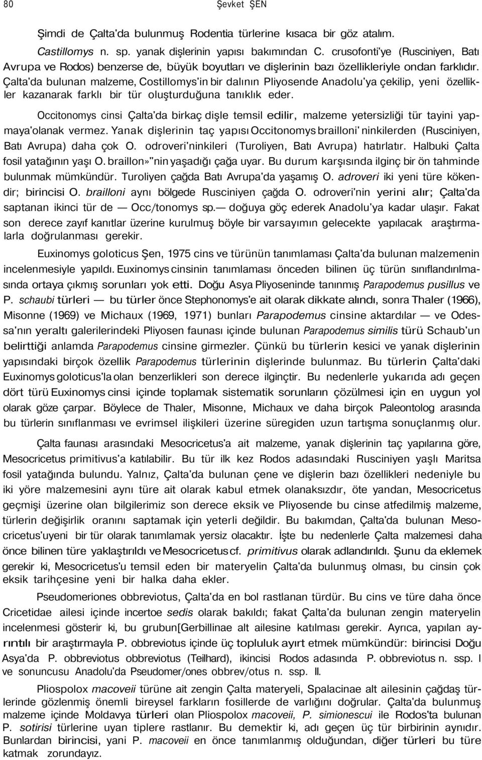 Çalta'da bulunan malzeme, Costillomys'in bir dalının Pliyosende Anadolu'ya çekilip, yeni özellikler kazanarak farklı bir tür oluşturduğuna tanıklık eder.