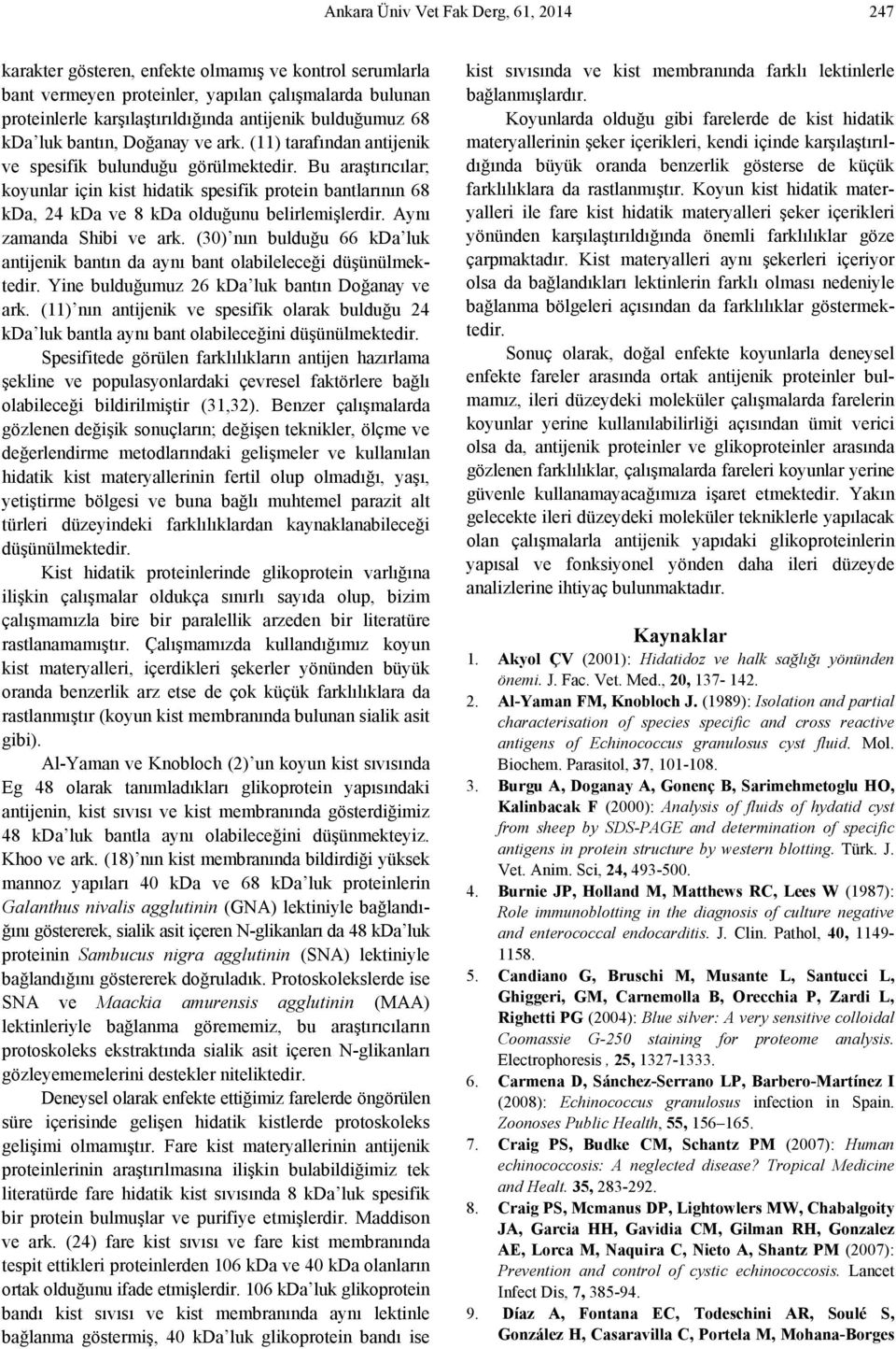 Bu araştırıcılar; koyunlar için kist hidatik spesifik protein bantlarının 68 kda, 24 kda ve 8 kda olduğunu belirlemişlerdir. Aynı zamanda Shibi ve ark.